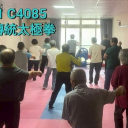 道家傳統太極拳